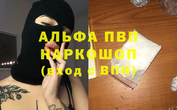 СК Абинск