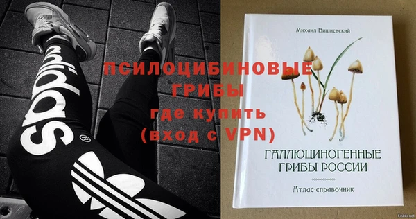 СК Абинск