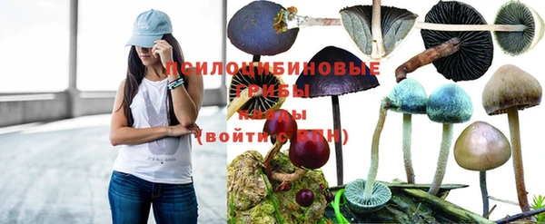 герыч Абаза